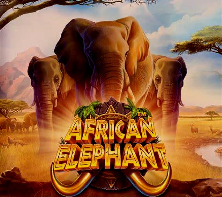 African Adventure slot