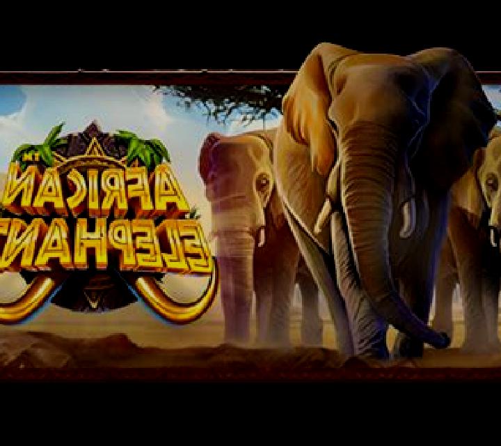 African Elephant slot game