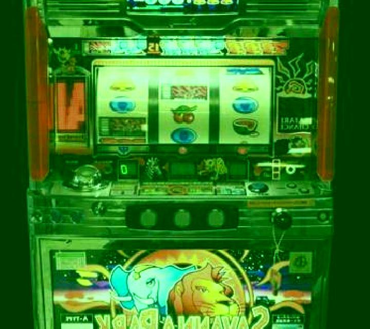 Animal Dojo slot machine