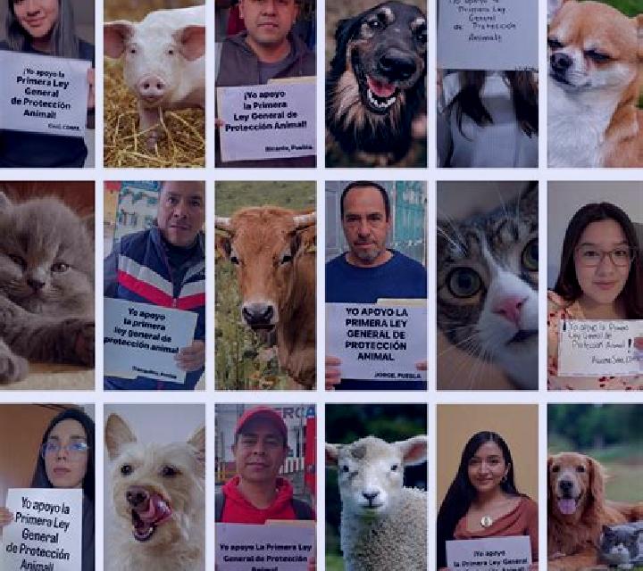 Around the World in 80 Plays slot machine