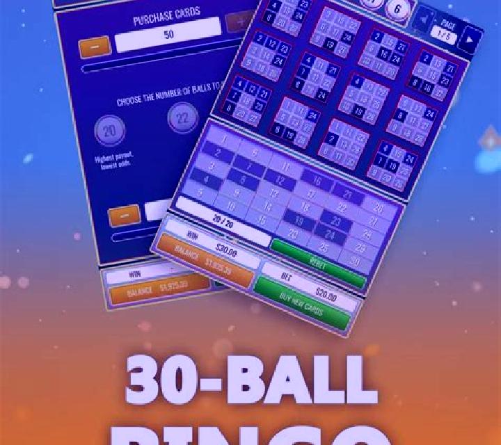 Bingo 30 Ball online slot