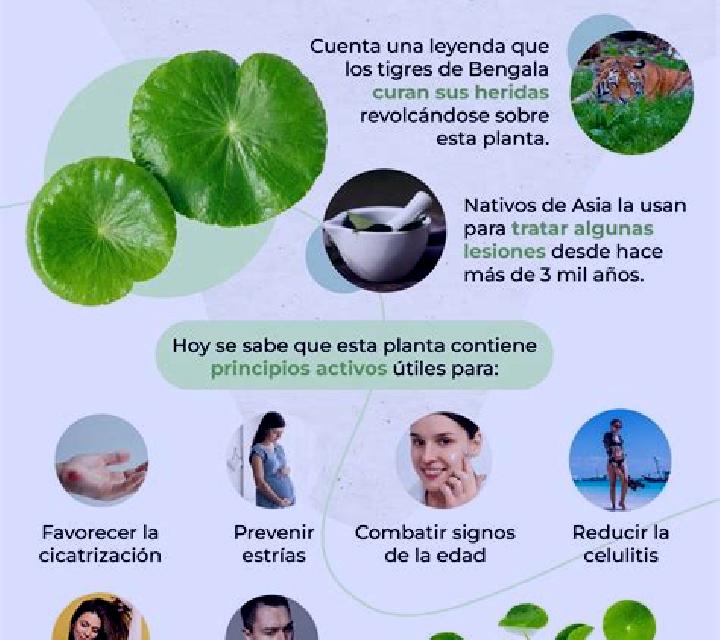 Book of Realm Jumboways slot machine