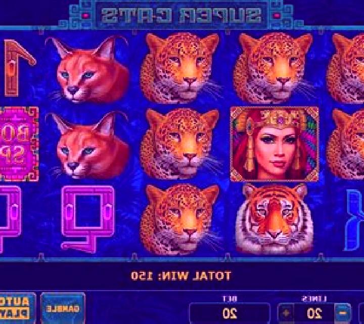 Cats slot