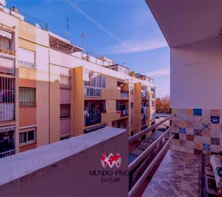 Coliseu Bingo slot game