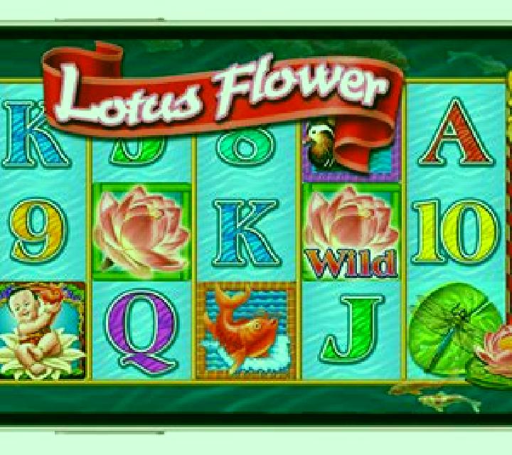 Desert Flower slot game