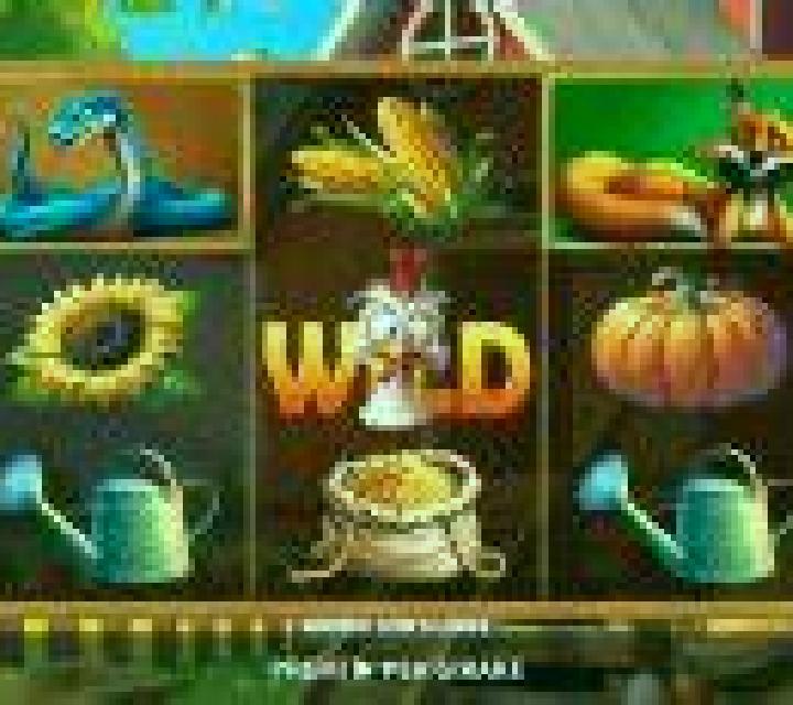 Diamond Joker (Games Inc) slot