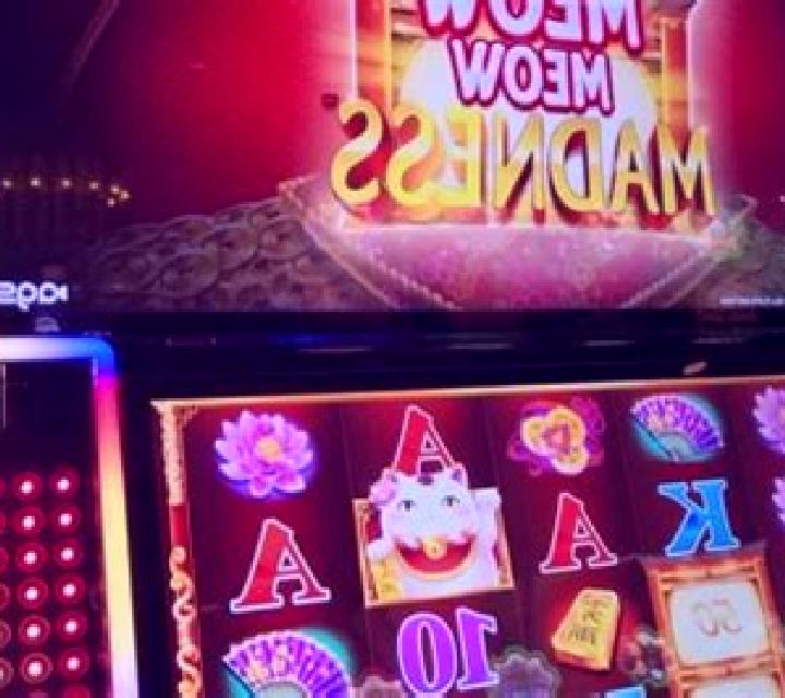 Dice Vikings slot machine