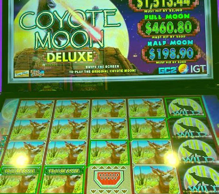 Dice X slot