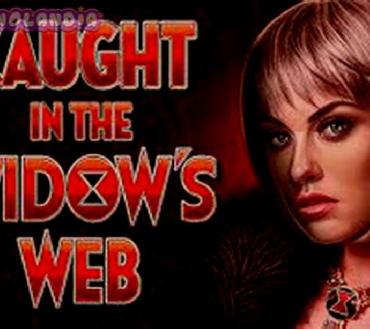 Double Exposure Blackjack Professional Series Low Limit slot game
