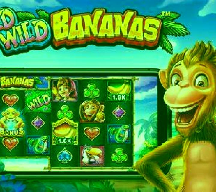 Fire and Roses Joker online slot