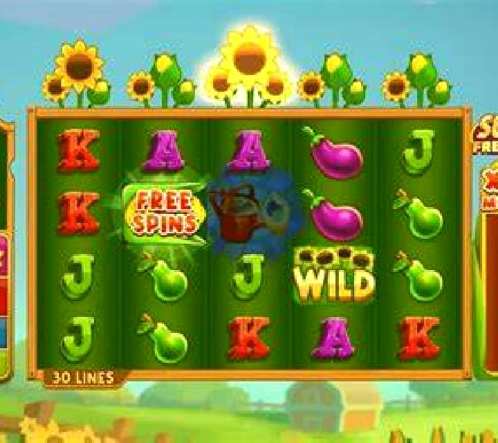 Flash Joker Fever slot game