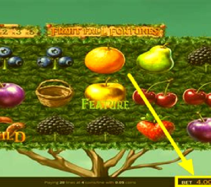 Fruit Fall Fortunes slot