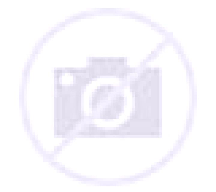 Golden Eve: Hold n Roll slot game