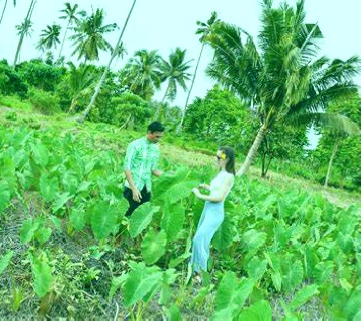 Ice Queens slot