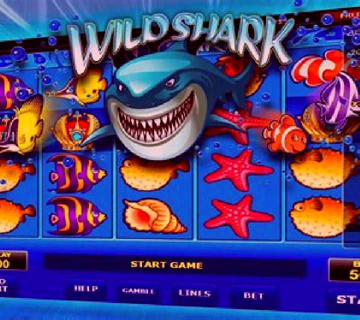 JuegaenLinea Immortal Ways Sweet Coin slot game