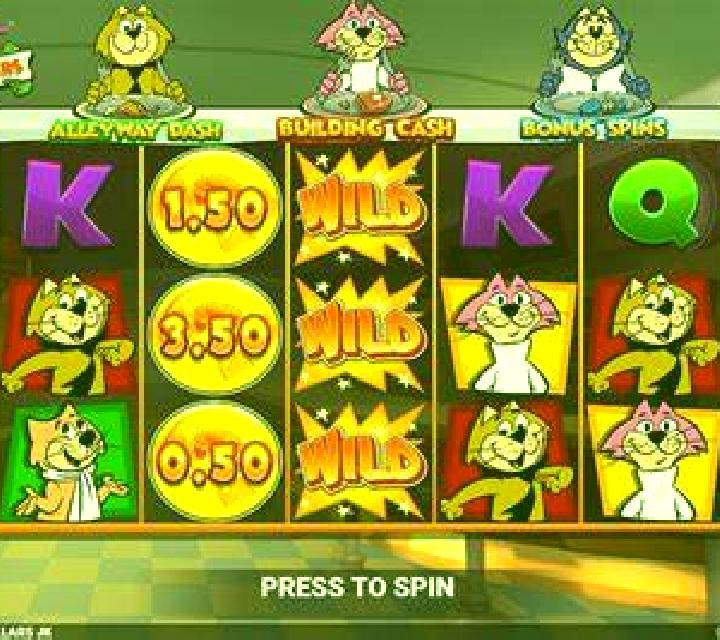Jungle Wins slot game