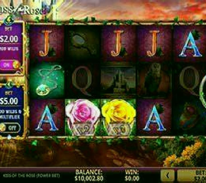 Kiss Of The Rose (Power Bet) slot machine