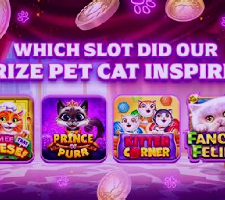 Kitten Pult slot game
