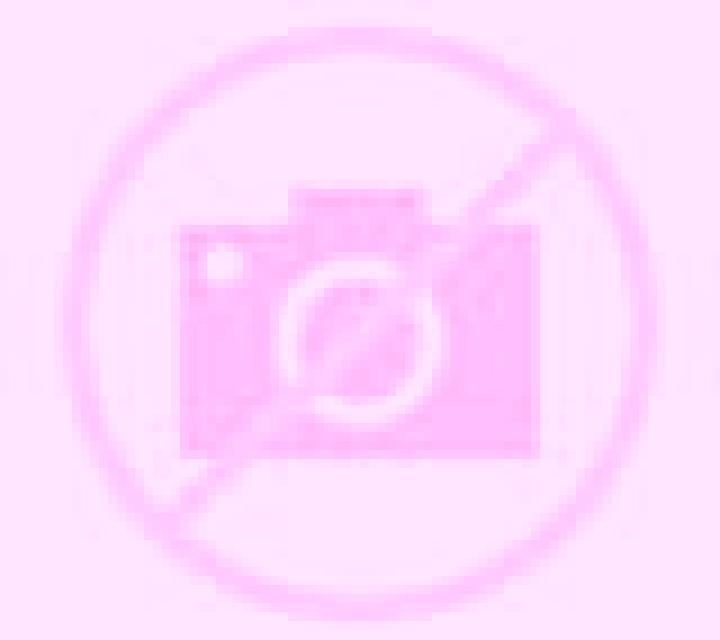 Lemur Does Vegas slot machine
