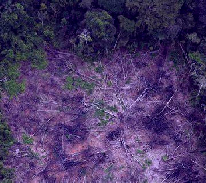 Leprechaun Story (Pull Tabs) slot game