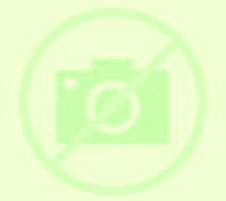 Lotsa Lines slot machine