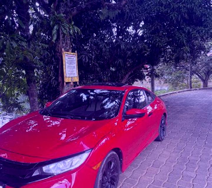 Lucie s Сats slot machine