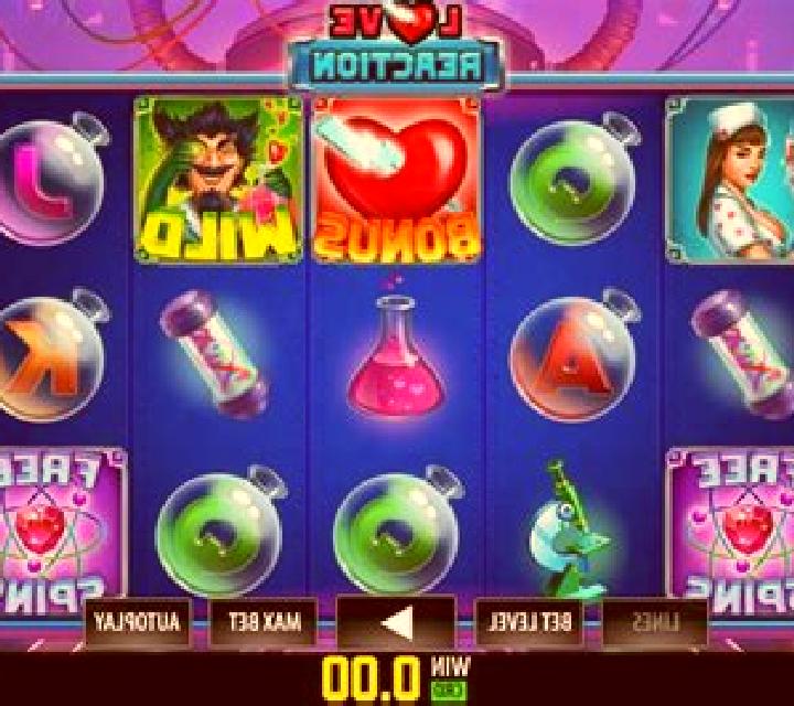 Master Raccoon slot