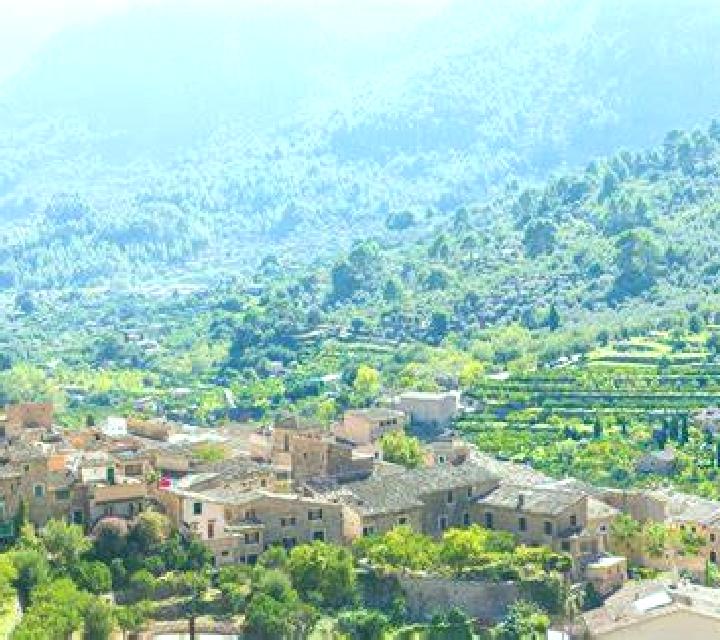 Mega Wild Fruits - Xmas slot