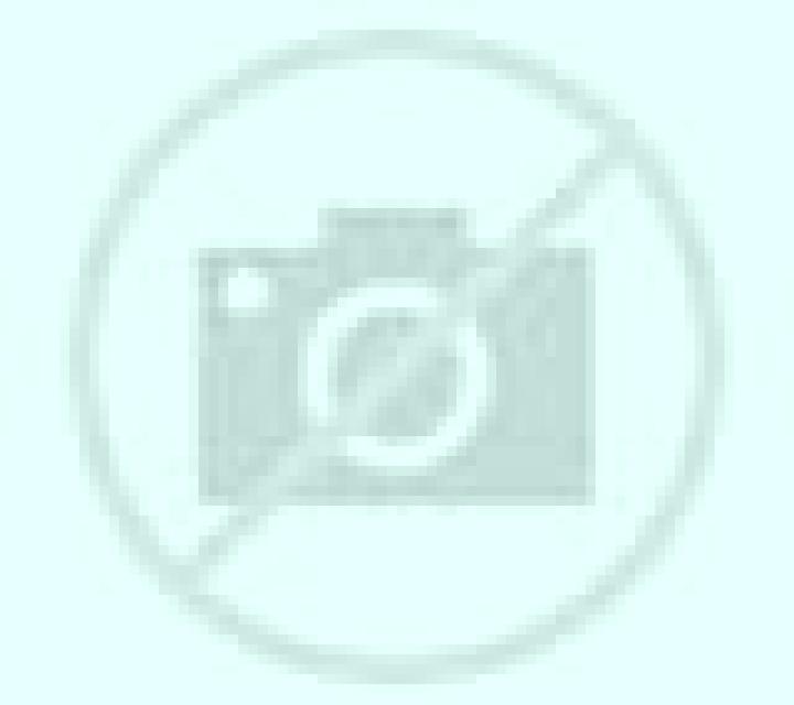 Midnight Dragon Wilds slot game