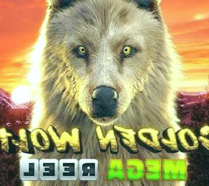 Miss Major slot machine