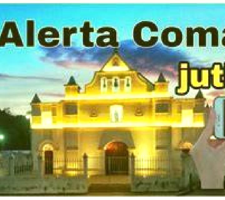Money Tree (Ameba) online slot