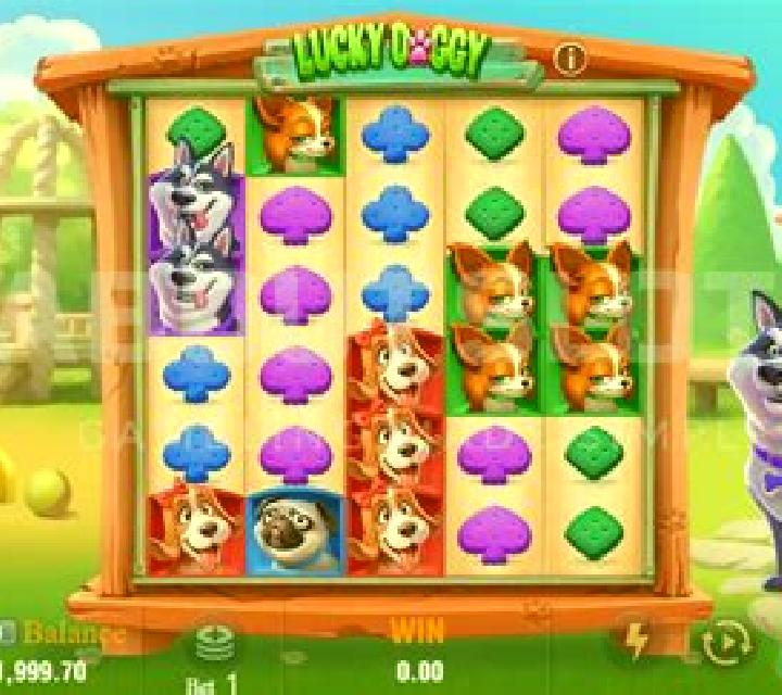 Monkey 27 slot machine