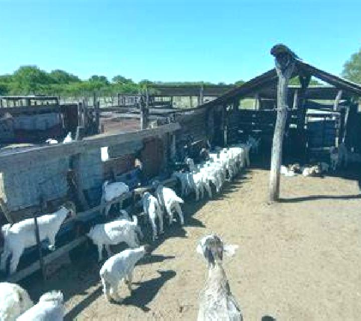 Monsters Getaway slot machine