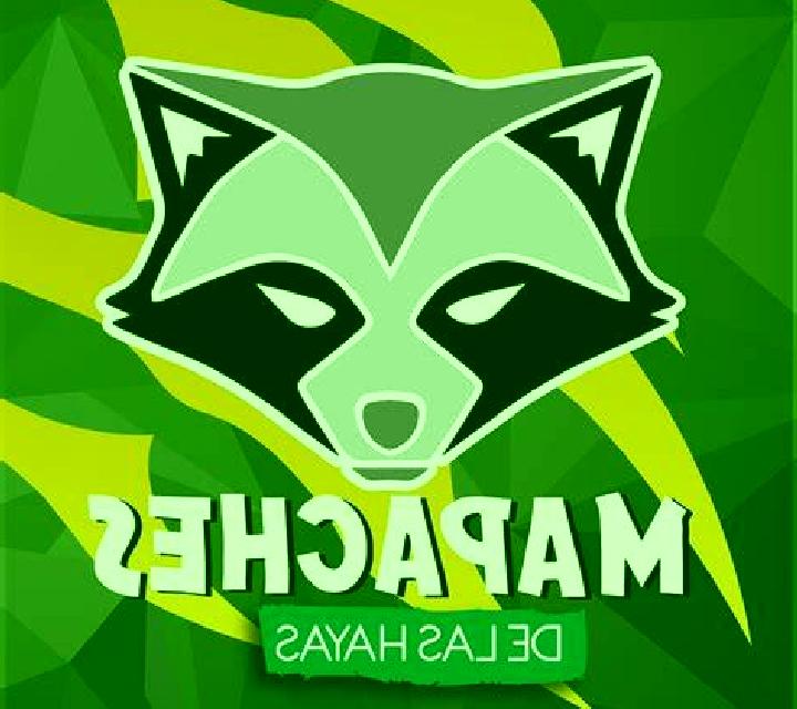Ms Robin Hood online slot