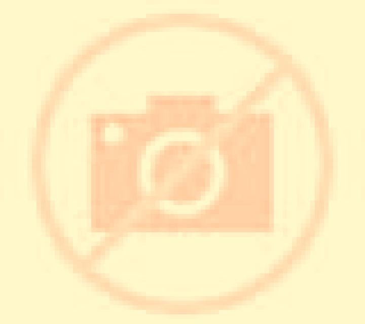 Pig Wizard Megaways online slot