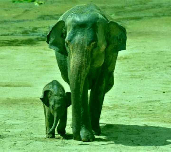 Plus 3 slot machine