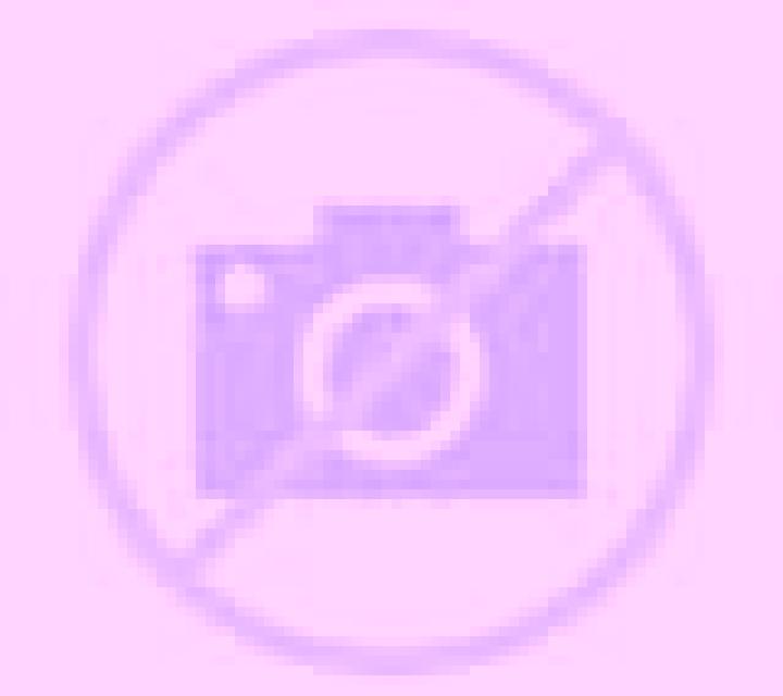 Purplebeard Treasure Trip slot game