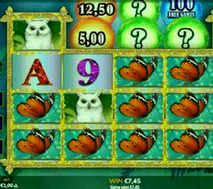 Redroo slot game
