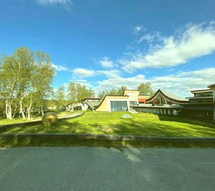 Retro Tiger slot