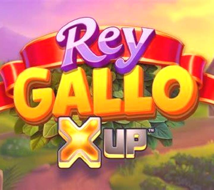 Rey Gallo X UP slot