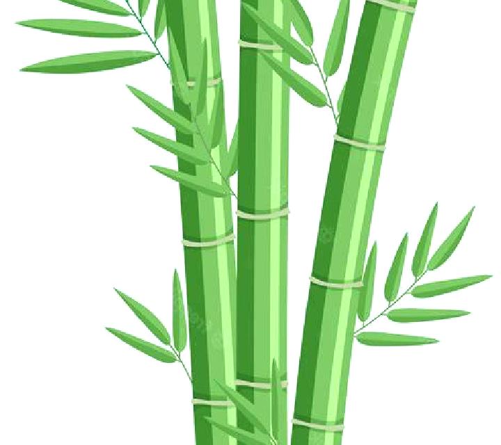 Rich Farm slot game