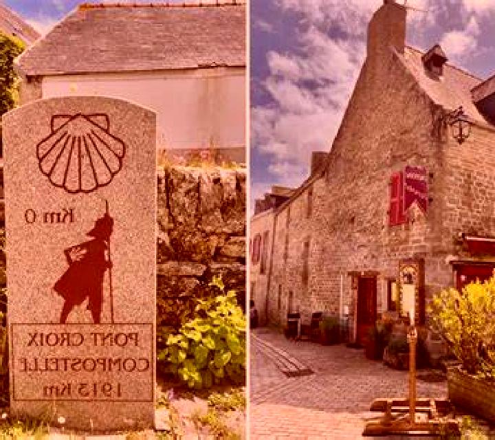 Rooster Fight slot game
