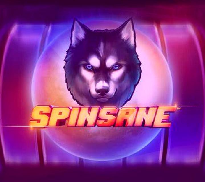 Spinsane online slot