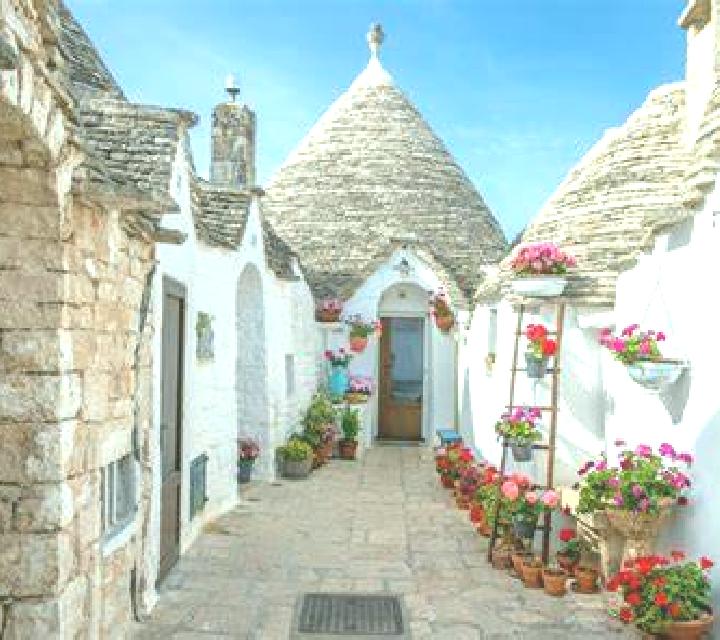 Star Fish online slot
