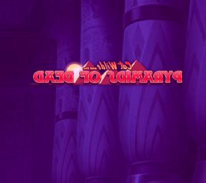 Super Acewin slot game