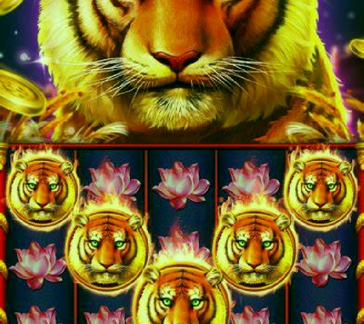 Super Sally s Shrimpmania 2 slot game