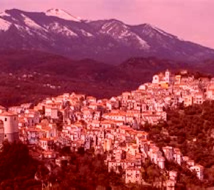 The Cipollino slot