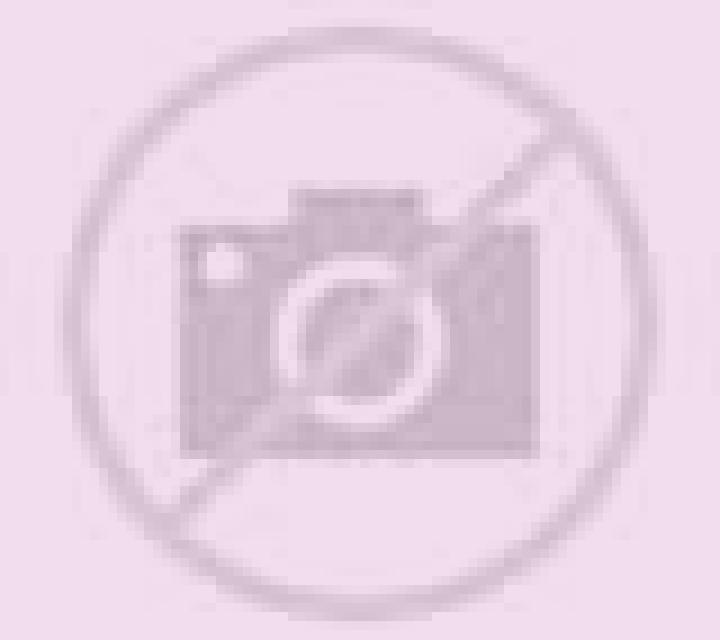 The Nifty Fifty online slot