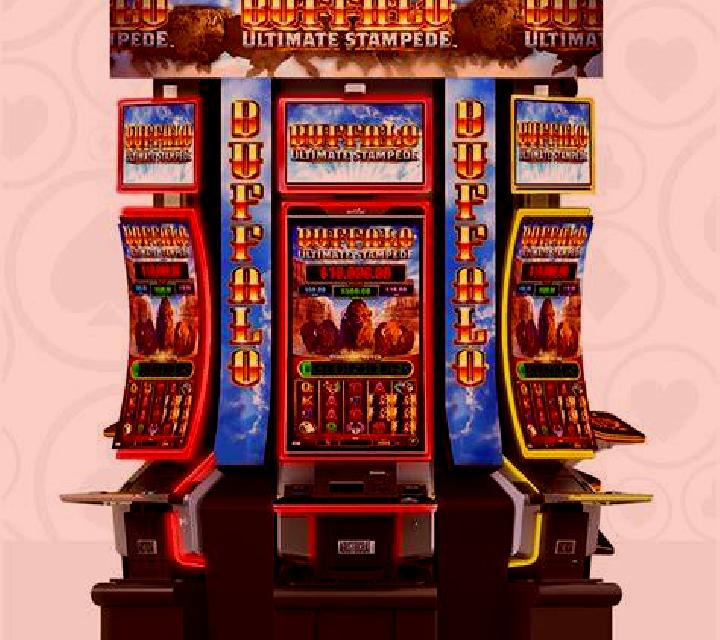 Tomb Of Nefertiti slot game