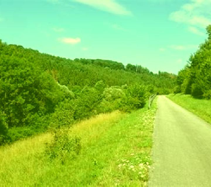 Top Bullet online slot